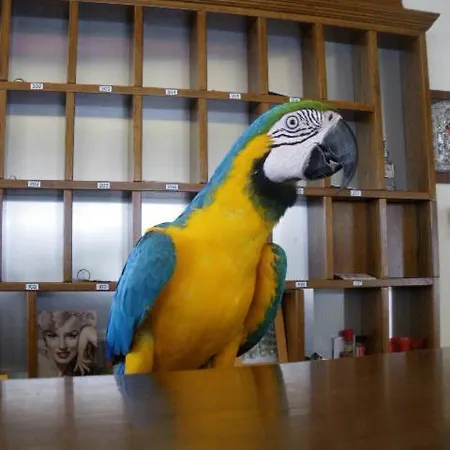 Europe ホテル Paralía